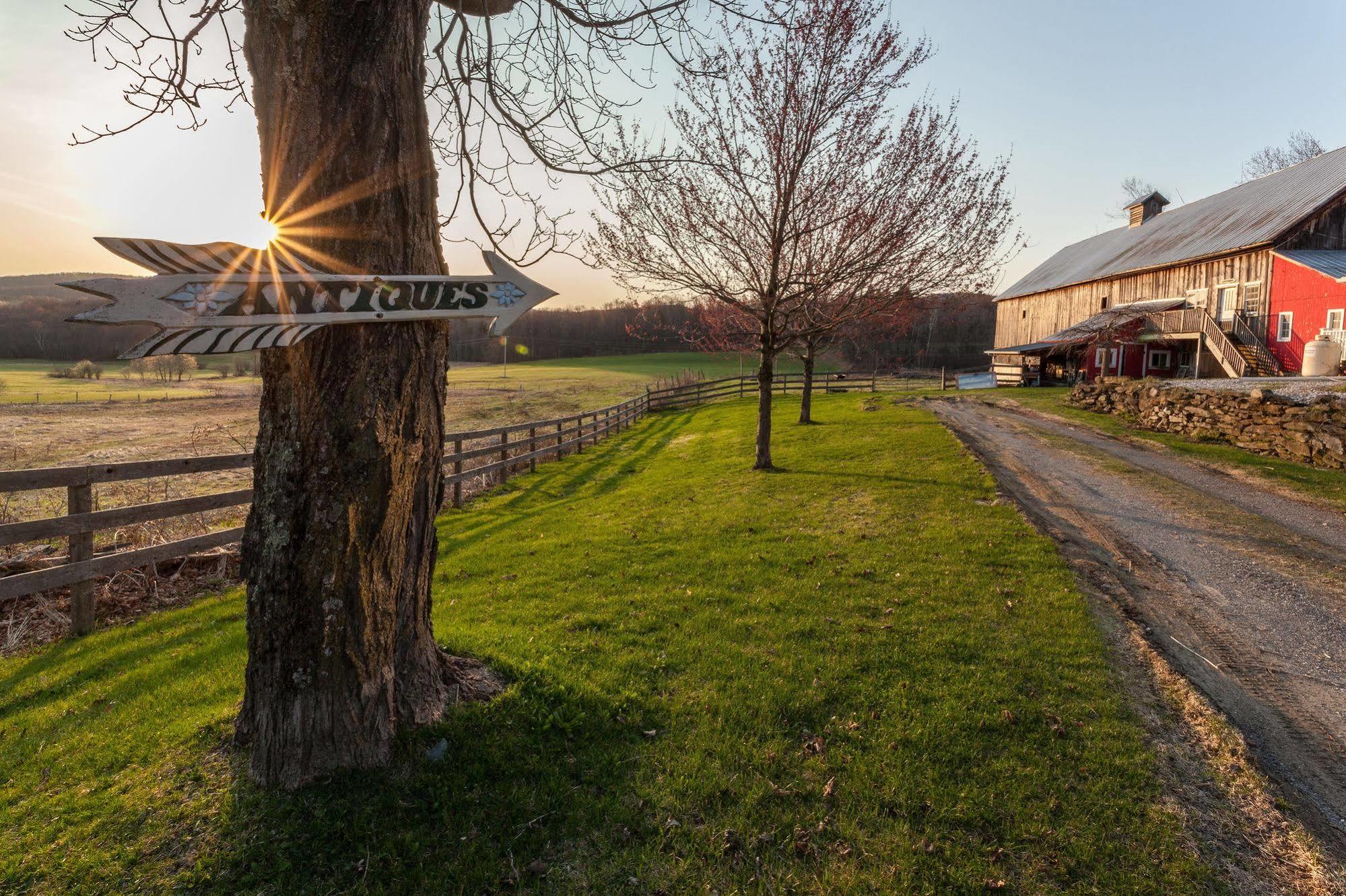 Inn At Buck Hollow Farm Fairfax Dış mekan fotoğraf